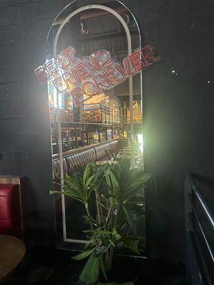 a plant in a pot in front of a mirror