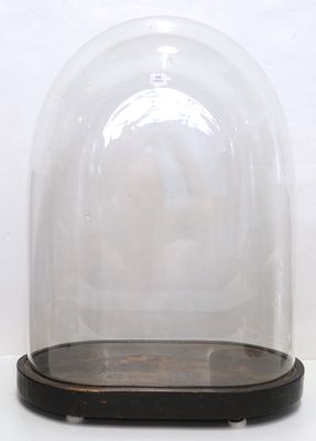 a glass dome with a wooden base on a white surface
