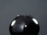 sculpture représentant un vase noir posé sur un socle blanc, sur fond gris