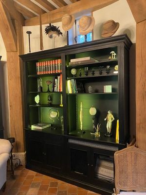 un salon avec un canapé et une bibliothèque