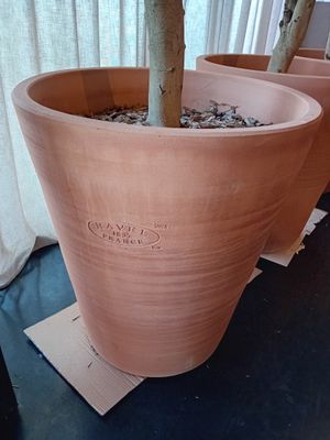 trois jardinières posées sur une table