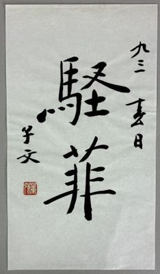 an image of a chinese calligraphy on a piece of paper