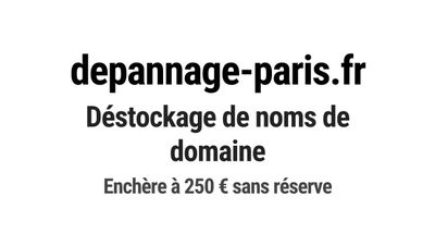 Nom de domaine depannage-paris.