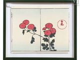 une photo d'une fleur rouge sur fond blanc