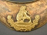 a gold plate with a lion on top of it