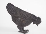 a black bird that is standing on a white surface
