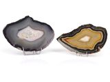 two pieces of agate on a white surface with a white background