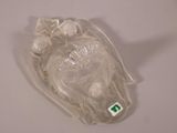 un sac en plastique dans lequel se trouve un animal quelconque