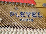 un gros plan sur les cordes d'un piano