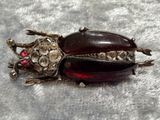 a beetle that is sitting on a white surface