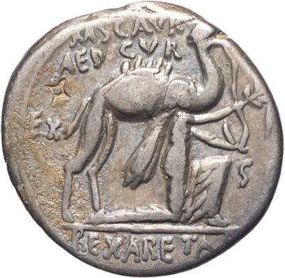 gros plan d'une pièce de monnaie sur laquelle figure un cheval