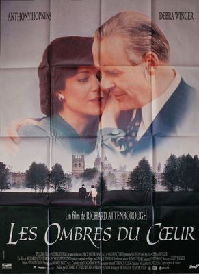 french movie poster for les ombres du cir