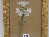 painting of a white flower in a gold frame on a white wall