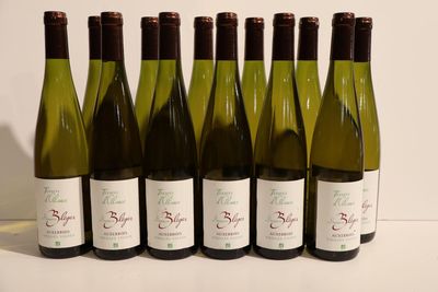 six bottles of wine are lined up in a row on a table