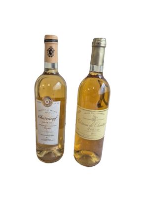 Un lot de deux bouteilles : - CERON 1995 Château CHANTEGRIVE