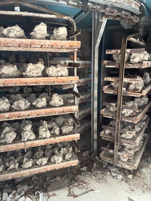 beaucoup de nourriture qui se trouve sur les étagères de la pièce