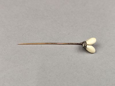 un gros plan d'une petite fleur blanche sur une tige