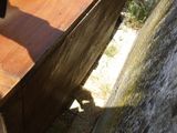 une personne tenant une planche de surf sur une table en bois