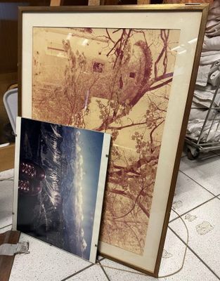 une photo d'une photo d'un arbre et une photo d'une photo d'une maison