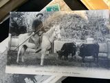 a black and white photo of a man on a horse