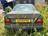 une voiture garée dans l'herbe, à l'extérieur