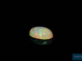 an oplite in the dark with a black background