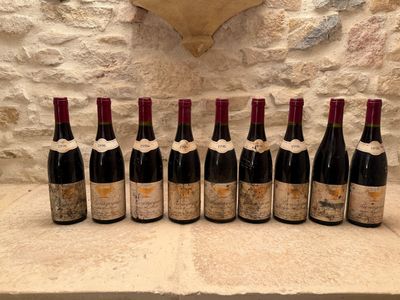 9 B Bourgogne. Domaine Gros frère et sœur. - Photo 1