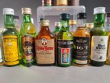 many different types of alcohol bottles lined up on the counter