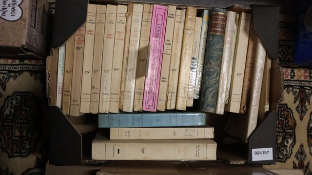 Lot de livres de littérature dont Jules SUPERVIELLE et divers.
