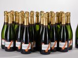 six bouteilles de champagne alignées sur une surface blanche