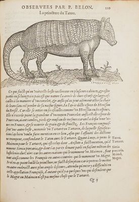 un vieux livre dont la couverture est ornée d'un dessin représentant un grand animal