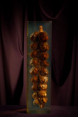 une image représentant un vase en verre rempli de boules dorées