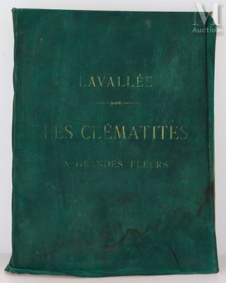 un livre vert posé sur une table blanche