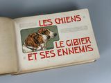 Photo 5/6 du lot