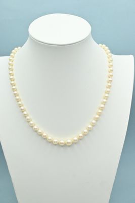 a white pearl necklace on a mannequin with a blue background