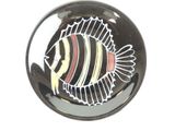 a picture of a glass plate with a fish design on it