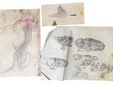 three drawings of a cat and other items on a piece of paper