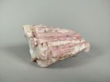 a close up of a piece of rock on a table