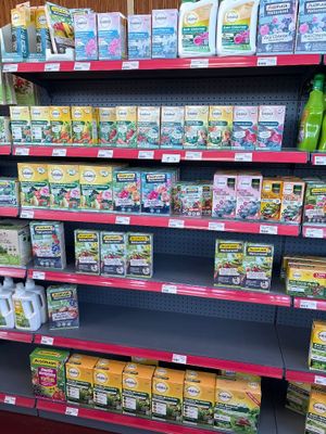 many different types of teas on the shelves in the store