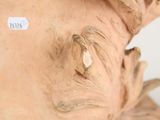 Photo 6/9 du lot