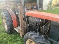 Un tracteur SAM FRUTTETO 60 4 RM Arceau 4488 h conduite comp… (photo 4)