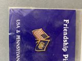 a close up of a pin with a flag on it