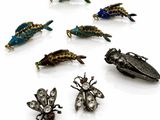 Plusieurs insectes de différentes couleurs sont disposés en cercle sur une surface blanche