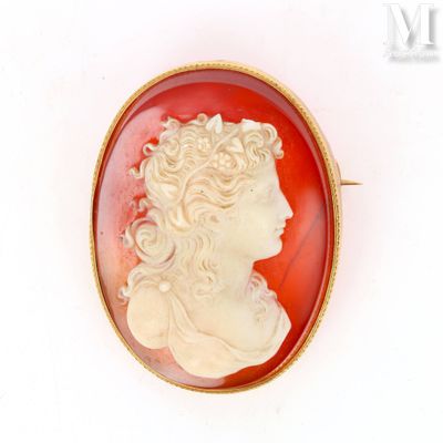 a close up of a woman ' s profile in a red cameo broocher