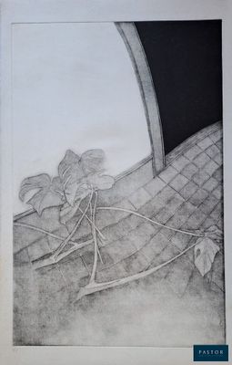 une image représentant un dessin en noir et blanc d'une plante