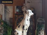 a statue of a dalmatian sitting on top of a table