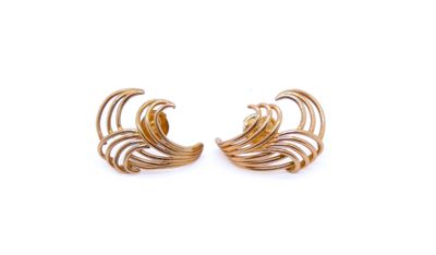 a pair of gold earrings on a white background