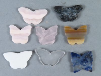 Plusieurs espèces différentes de papillons sont exposées sur une surface grise