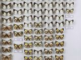 de nombreux papillons exposés dans une vitrine