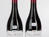 deux bouteilles de vin rouge posées l'une à côté de l'autre sur une surface blanche